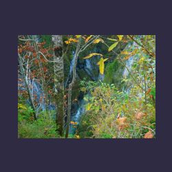 2012-10-20_Fall_AQUILA (338)b.JPG